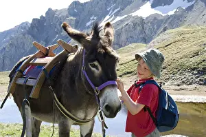 Asses: Boy and Donkey pack Lake Favire Queyras Alps France