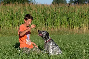 Patience: Boy with English Setter Dog