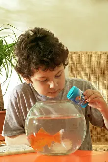 Choosing: Boy feeding GOLDFISH in bowl