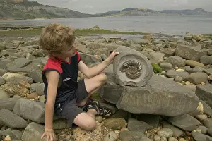 Palaeontologist: Boy with fossil ammonites