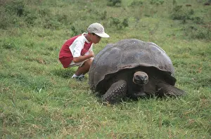 Geochelone: Boy and Giant Tortoise