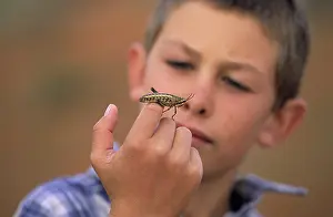 Hand: Boy and Grasshopper