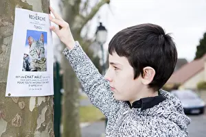 Ager: Boy hanging a poster to find his lost cat