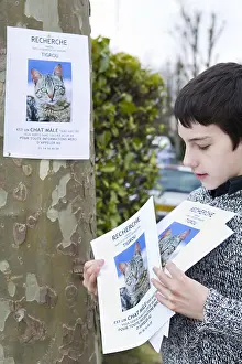 Ager: Boy hanging a poster to find his lost cat