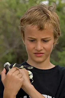 Kingsnake: Boy holding Common Kingsnake (Lampropeltis getulus) - Arizo