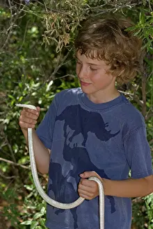 Boy holding Patch-nosed Snake - non-venomous