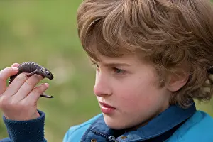 Maculatum: Boy holding Spotted Salamander