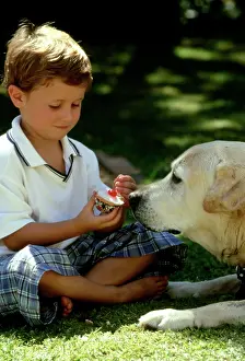 Cake: Boy and Labrador - Little boy teasing his Labrador