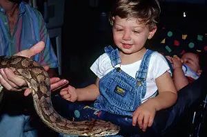 Interacting: Boy Meets Boa