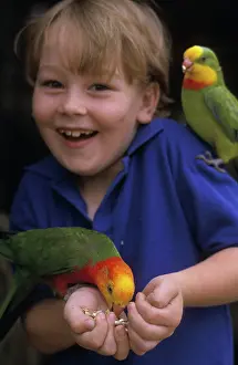 Leek: Boy with Parrots