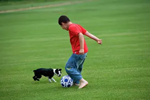 Football: Boy - playing football with Boston Terrier dog