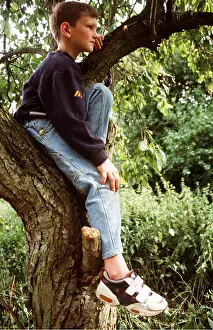 Ardea London: BOY - sitting in tree
