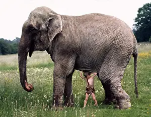 Jack: Boy trying to lift elephants, England, Great Bri