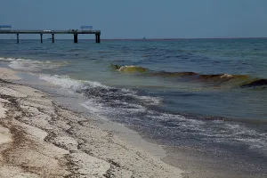 Slick: BP Oil Slick reaches Alabama