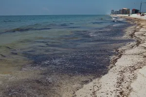 Slick: BP Oil Slick reaches Alabama