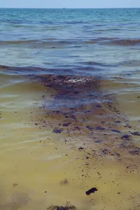 Slick: BP Oil Slick reaches Alabama