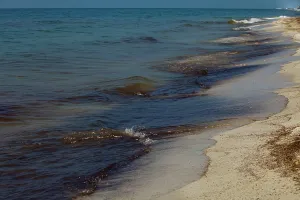 Slick: BP Oil Slick reaches Alabama