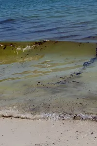 Slick: BP Oil Slick reaches Alabama