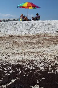 Slick: BP Oil Slick reaches Alabama