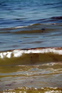 Slick: BP Oil Slick reaches Alabama