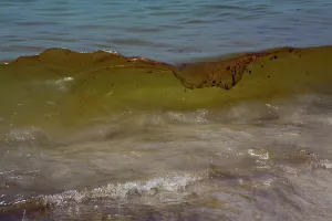 Slick: BP Oil Slick reaches Alabama