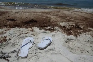 Slick: BP Oil Slick reaches Alabama