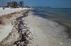 Slick: BP Oil Slick reaches Alabama