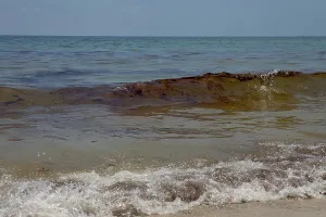 Slick: BP Oil Slick reaches Alabama Beaches