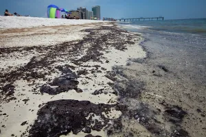 Slick: BP Oil Slick reaches Alabama Beaches