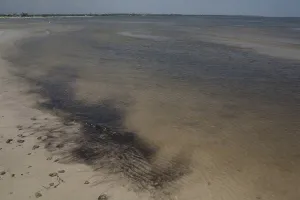 Cleanup: BP Oil Spill