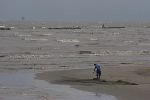 Cleanup: BP Oil Spill Cleanup