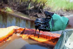 Cleanup: BP Oil Spill Cleanup