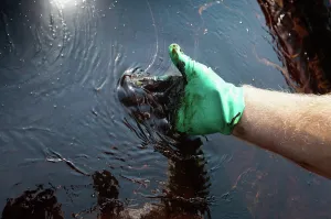 Cleanup: BP Oil Spill Cleanup