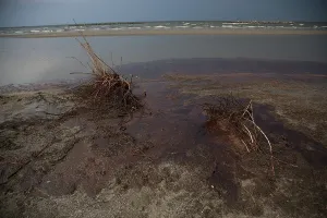 Deepwater: BP OIl Spill, Grand Isle, LA