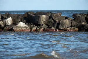 Cleanup: BP Oil Spill, LA