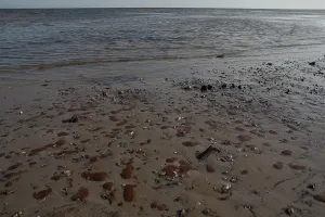 Cleanup: BP OIl Spill in Mississippi