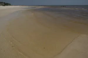 Cleanup: BP Oil Spill reaches Mississippi