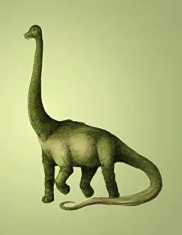 Prehistory: Brachiosaurus