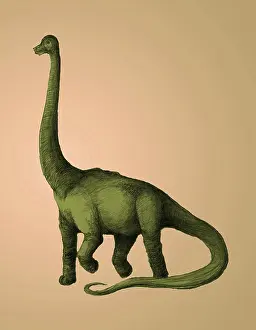Prehistory: Brachiosaurus