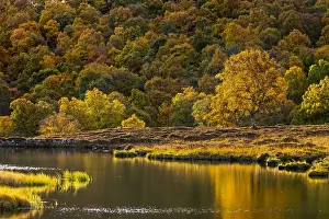120219: Braemar - Duck Pond - Autumn - Scotland - UK