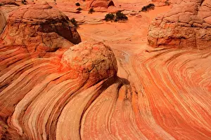 Approximately: Brainrocks - carved rock made of jurrasic-age Navajo