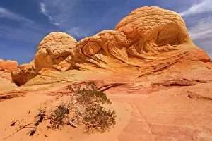 Approximately: Brainrocks - carved rock made of jurrasic-age Navajo