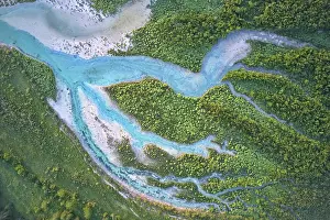 Branched: Branched wild river with blue water in forest la