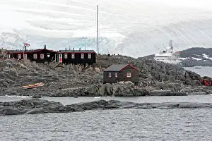 Bransfield: Bransfield house at Port Lockroy - with Gentoo