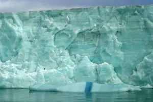 Brasvell: Brasvell Glacier