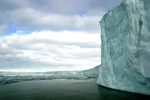 Brasvell: Brasvell Glacier