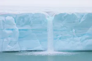 Nordaustlandet: Brasvellbreen