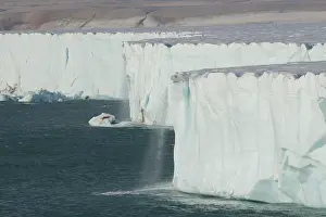 Nordaustlandet: Brasvellbreen