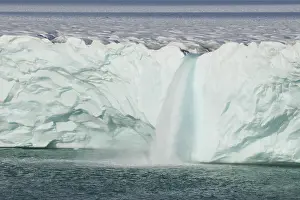 Nordaustlandet: Brasvellbreen