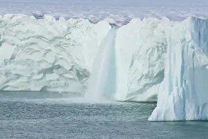 Nordaustlandet: Brasvellbreen